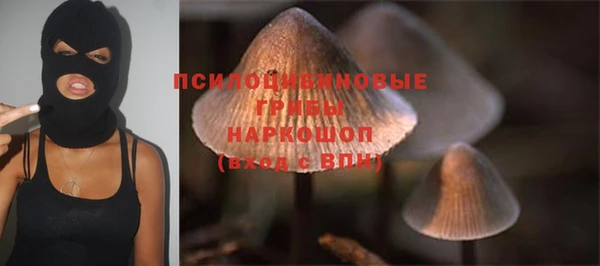 каннабис Корсаков
