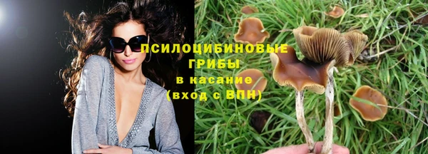 мескалин Коряжма